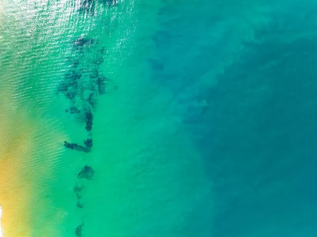 Turquoise ocean aerial view — ทะเลกว้างเหมือนทางเลือก tech stack ที่ไม่จำกัด