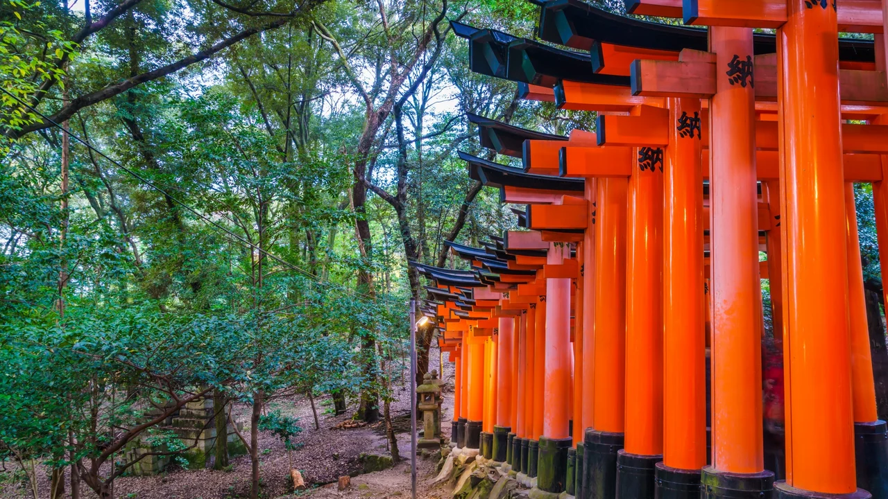 ทางเดินเสาโทริอิสีแดงที่ศาลเจ้าฟูชิมิอินาริ เกียวโต