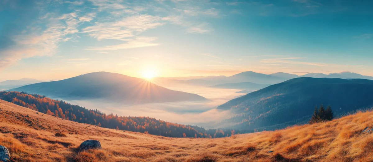 Mountain sunrise golden grass